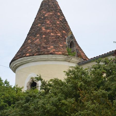 Chambres D'Hotes Du Chateau De Saint Sulpice La Sauvetat-sur-Lède Exterior foto